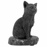 shungite cat