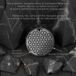 flower of life and quartz pyrite in shungite