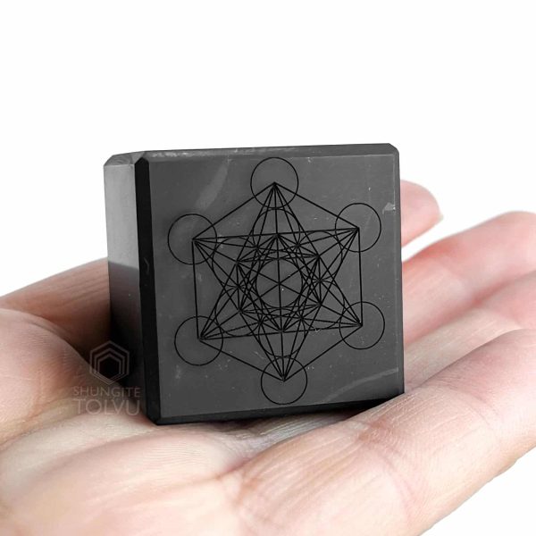 Shungite Metatron Cube 1.18 in