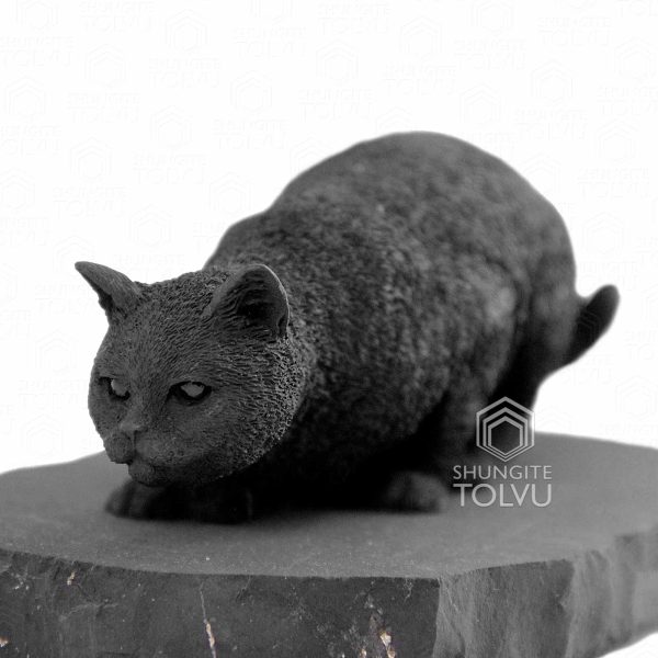 shungite cat statuette of big size