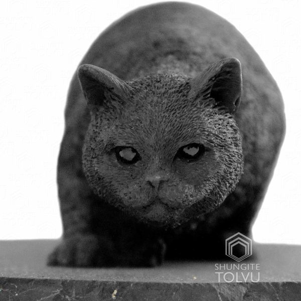 shungite cat statuette of close up